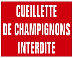 KROMA PANNEAU AKILUX CUEILL.CHAMPIGNONS
