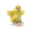Enfant ANIMA PELUCHE POUSSIN 10CM