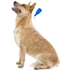 BEAPHAR PIPETTES FIPROTEC PETIT CHIEN X4