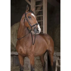NORTON RENES HUNTER PRO 16MM CHEVAL HAVANE