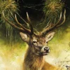 AMBIENTE SERVIETTE PORTRAIT DE CERF