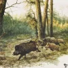 AMBIENTE SERVIETTE SANGLIER EN FORET