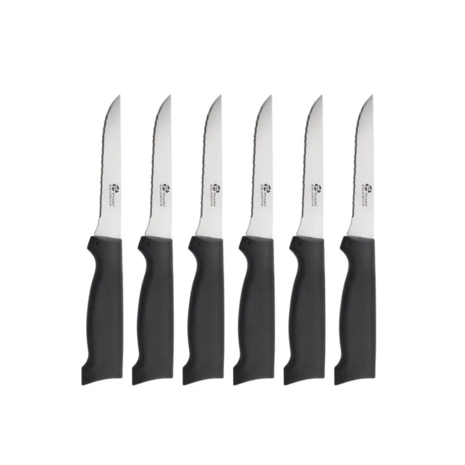 PRADEL EXCELLENCE SET DE 6 COUTEAUX COTE A L'OS