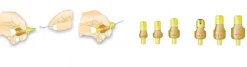 STONFO SONDE ELITE