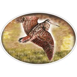 HV DVPT STICKER GRAND MODELE BECASSE