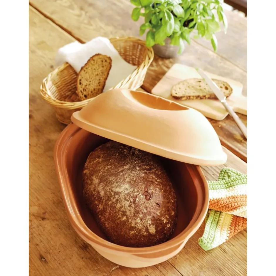 BAUMALU TERRINE / COCOTTE EN TERRE CUITE