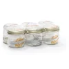 LE PARFAIT TERRINE FW 500 GR D100 X6