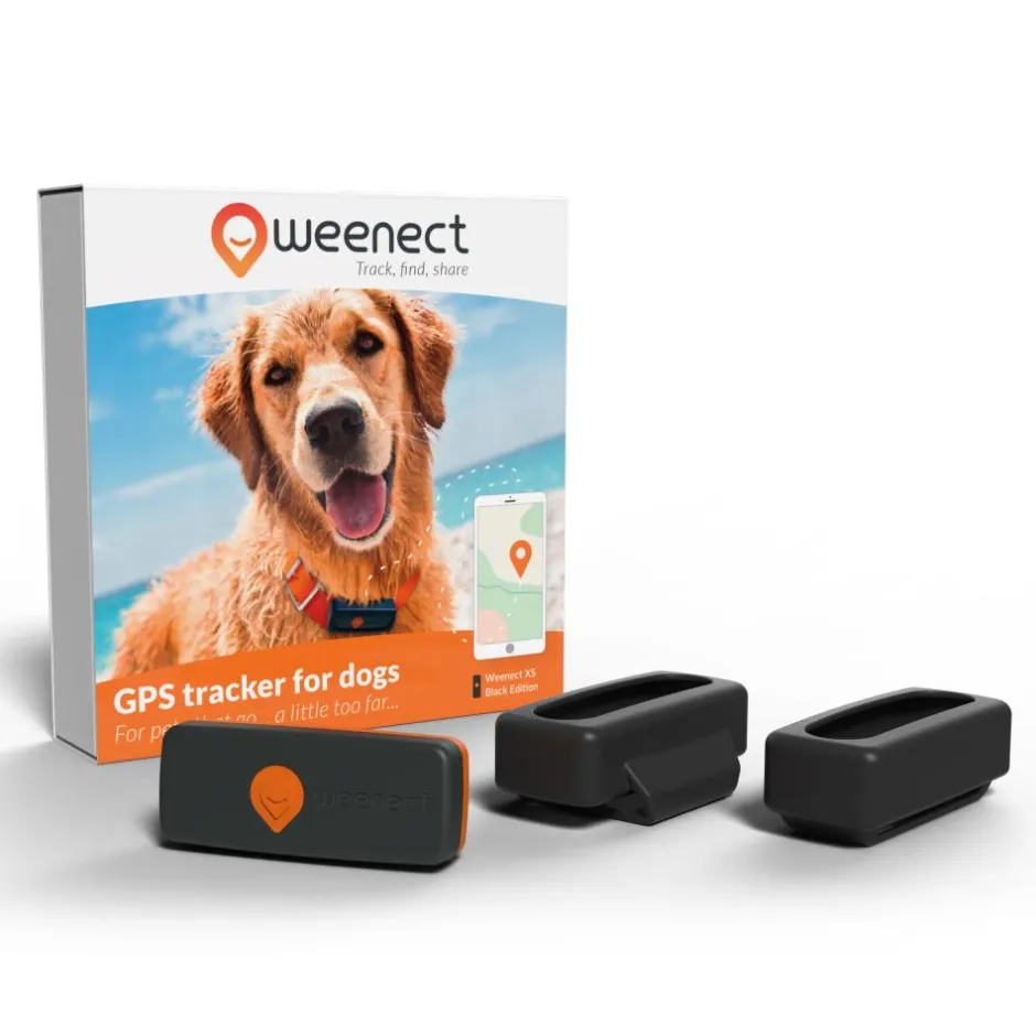 WEENECT TRACEUR GPS XT AVEC COLLIER
