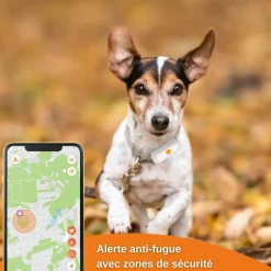 WEENECT TRACEUR GPS XT AVEC COLLIER