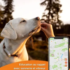 WEENECT TRACEUR GPS XT AVEC COLLIER