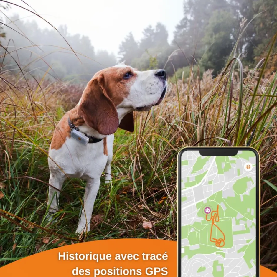 WEENECT TRACEUR GPS XT AVEC COLLIER