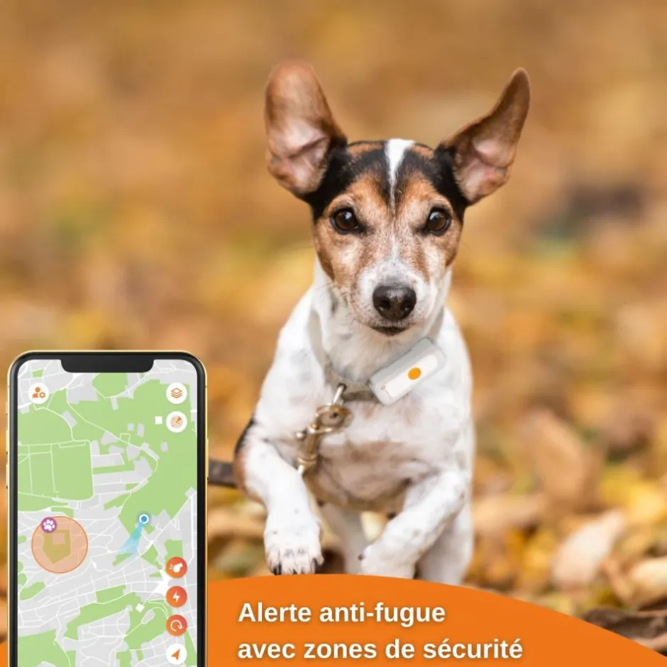 WEENECT TRACEUR GPS XT AVEC COLLIER